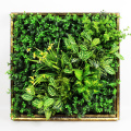 New design low cost art 3D plant green hedge wall for decoration